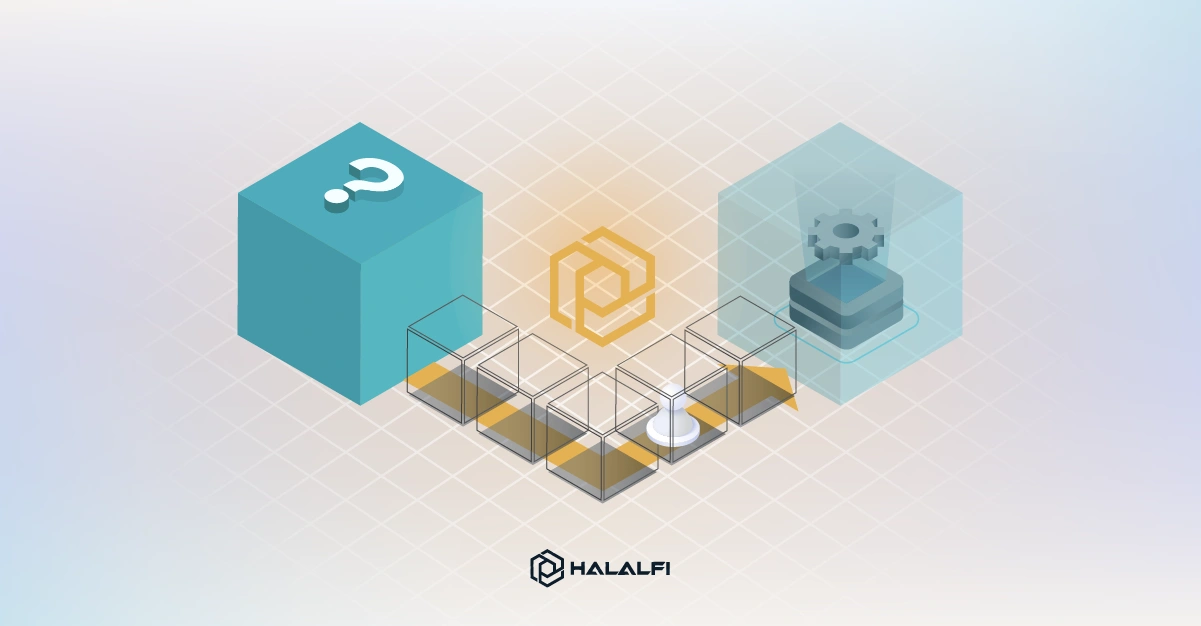 The Role of Blockchain in HalalFi