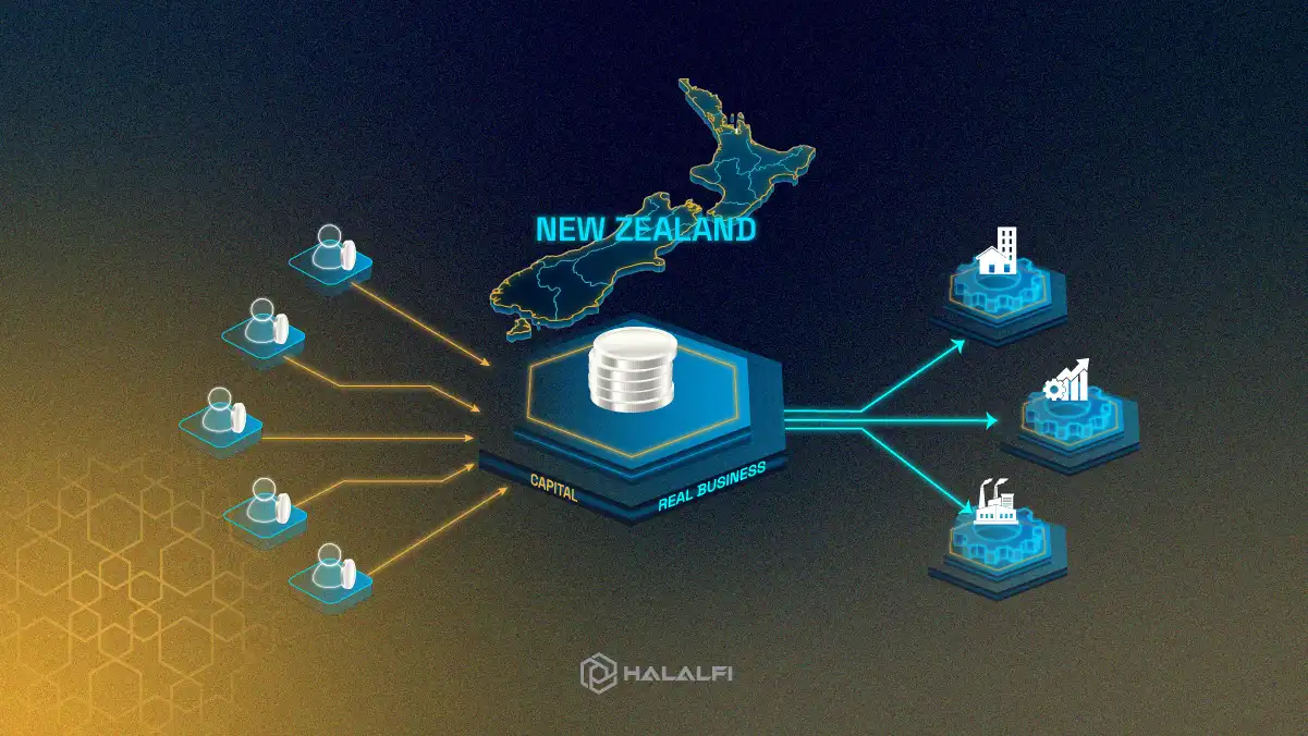 More Than Stocks and Savings: A Fresh Look at Crowdfunding in New Zealand