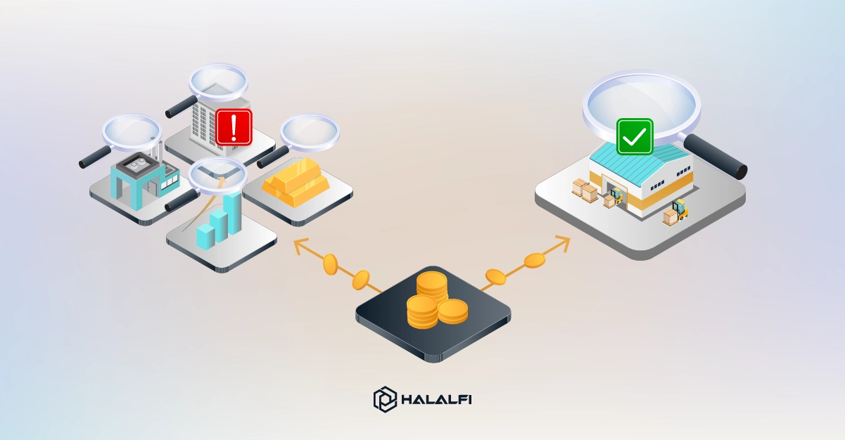 What Changes When Your Money Goes Into One Business Project What Changes When Your Money Goes Into One Business Project