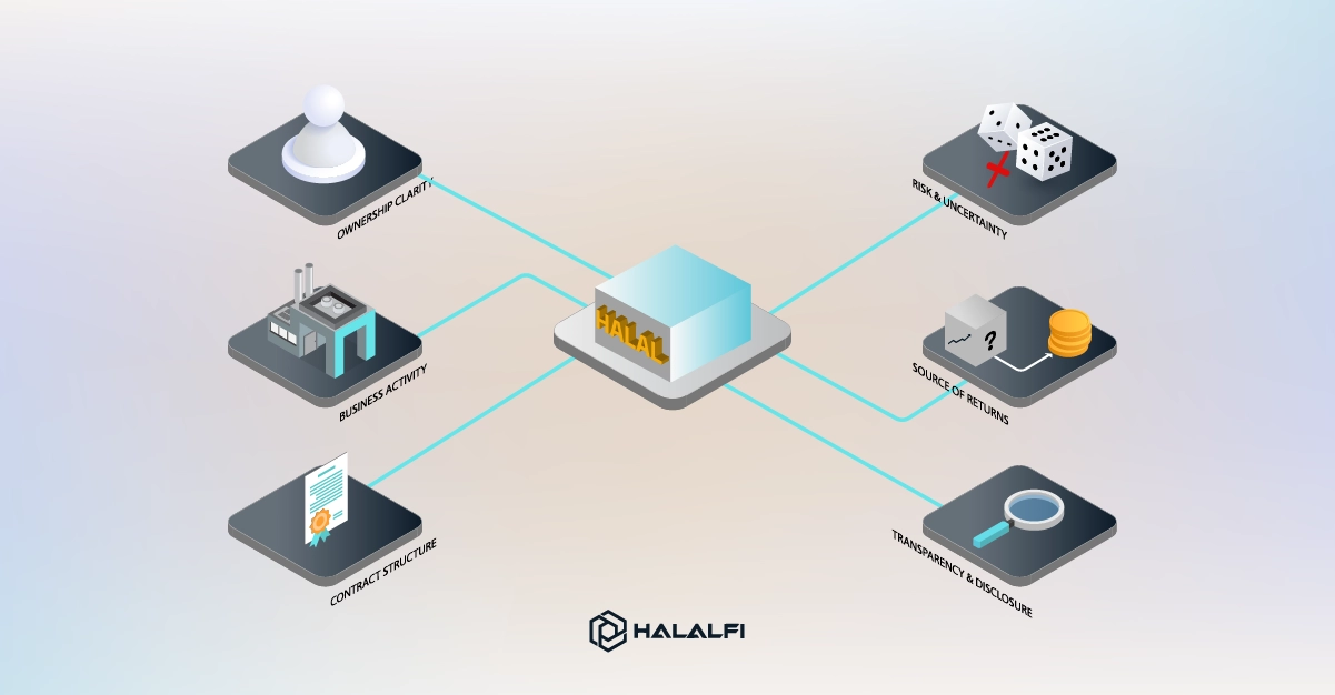 What do the Halal Investment Options mean What do the Halal Investment Options mean