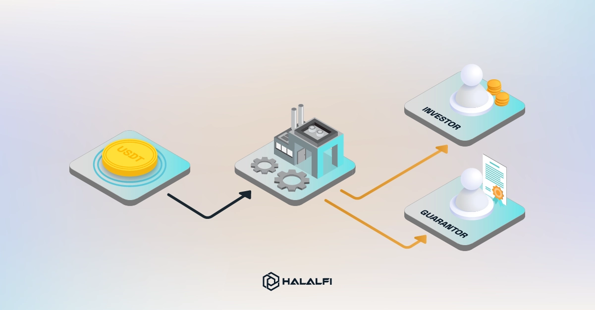 Where Does the Halal Profit Come From?