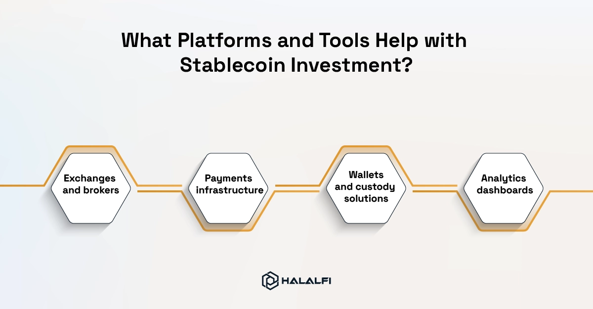 What Platforms and Tools Help with Stablecoin Investment