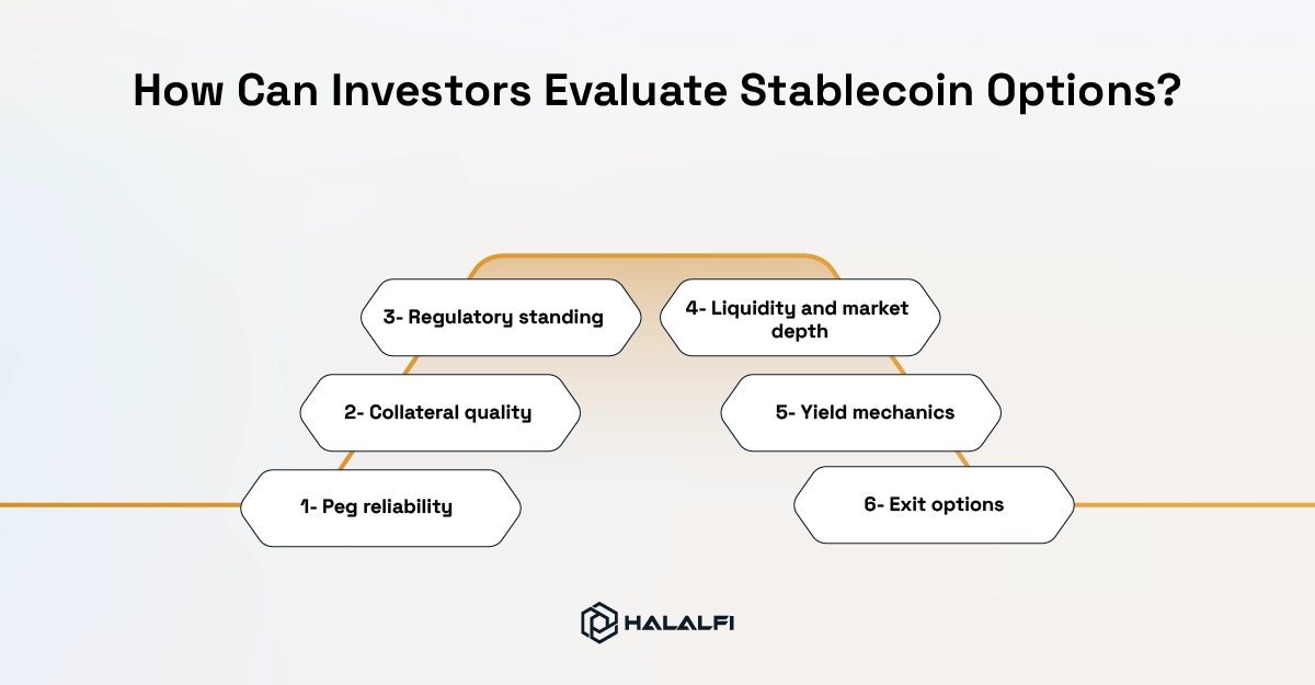 How Can Investors Evaluate Stablecoin Options