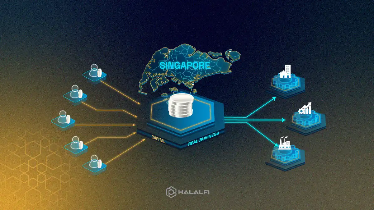Turns Capital Into Opportunity Through Crowdfunding in Singapore