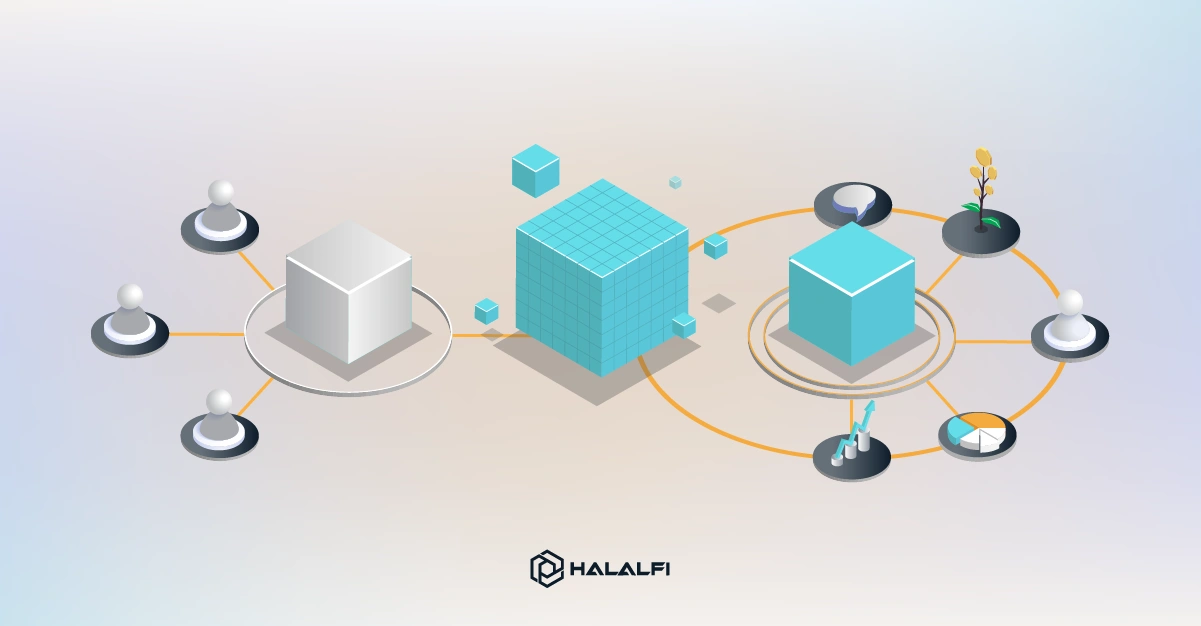 The Psychology Behind HalalFi Why Investors Are Shifting