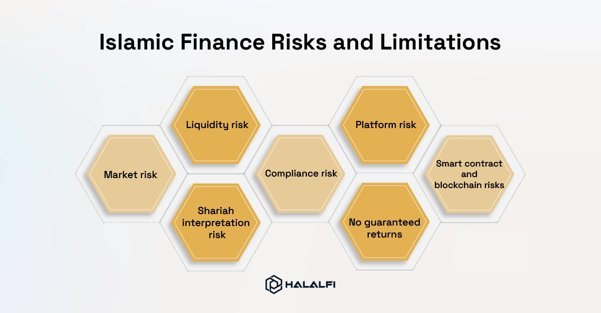 Islamic Finance Risks and Limitations