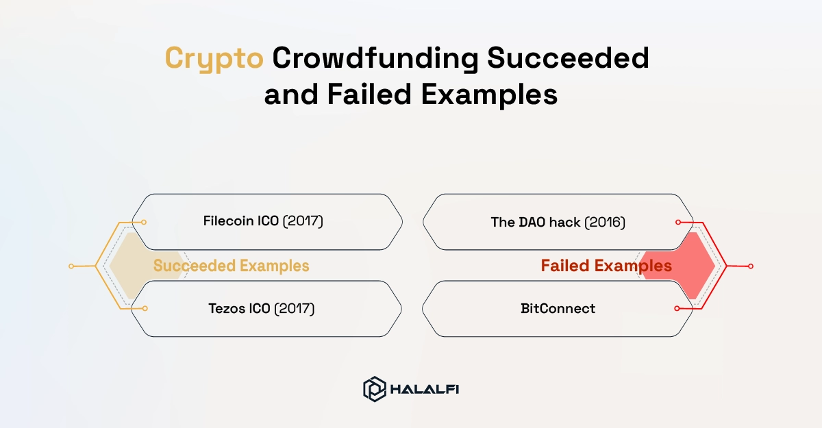 Crypto Crowdfunding Succeeded and Failed Examples